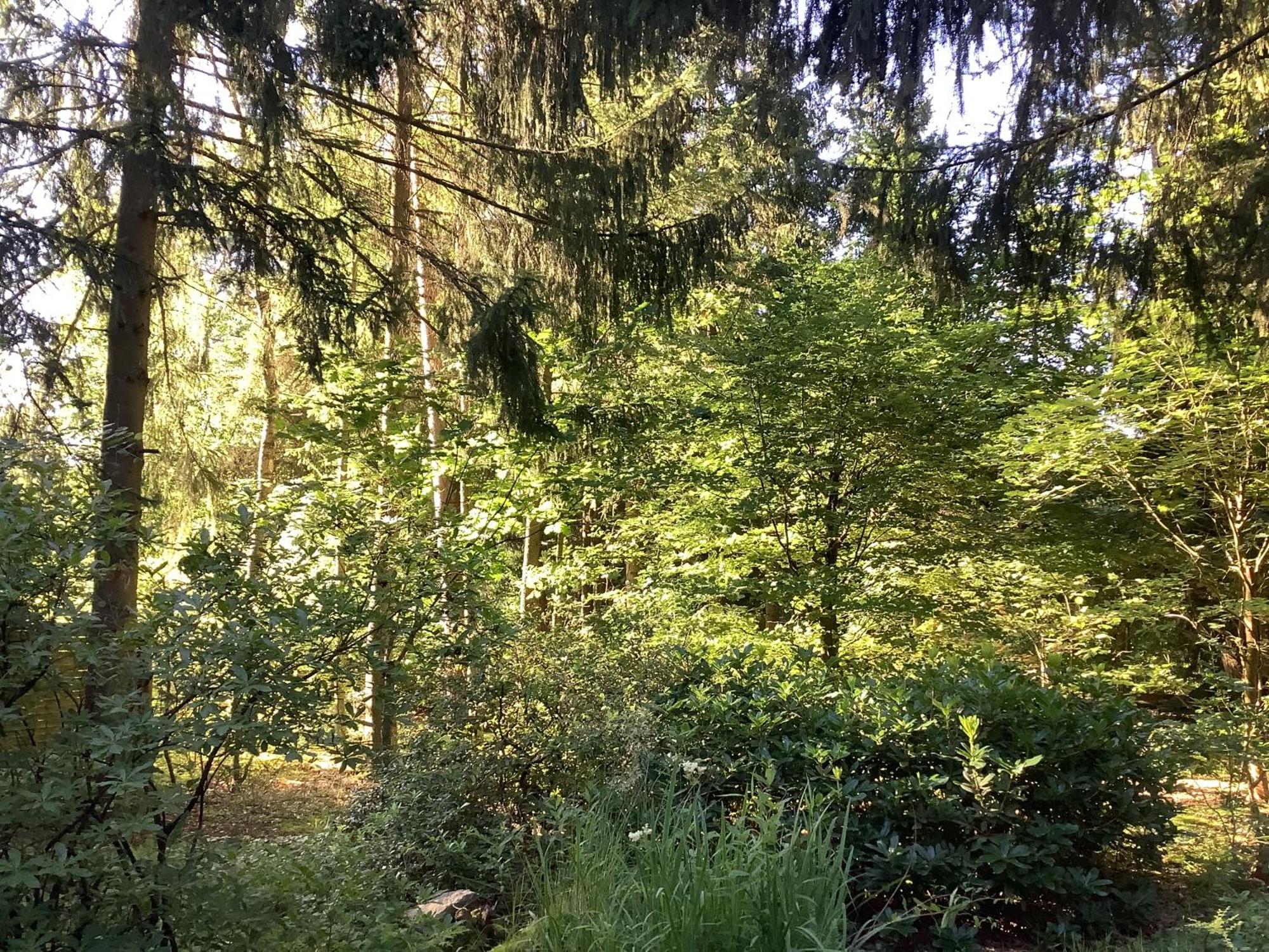 Dat Holt Huus Suderburg Esterno foto